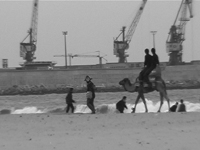 Il Principe costante